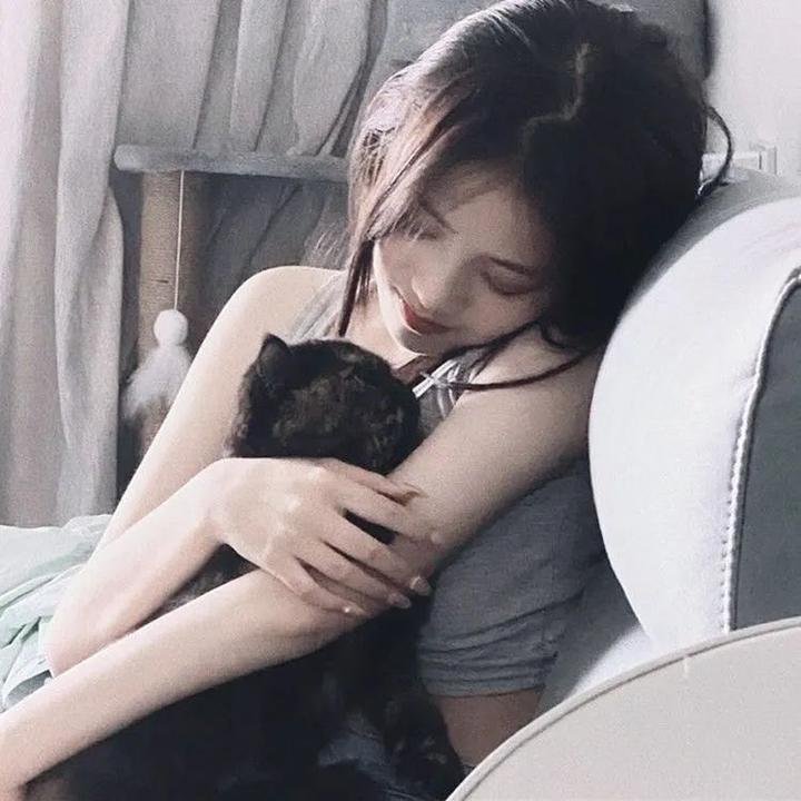 仙境免费在线观看